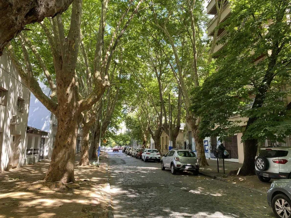 LOTE EN  VENTA LA PLATA IDEAL DESARROLLO 4