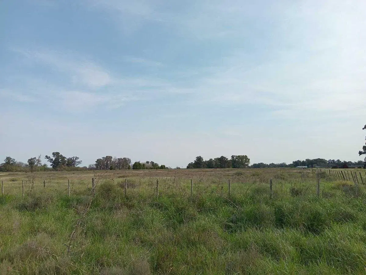 LOTE EN VENTA EN VERÓNICA. HECTÁREAS. 5