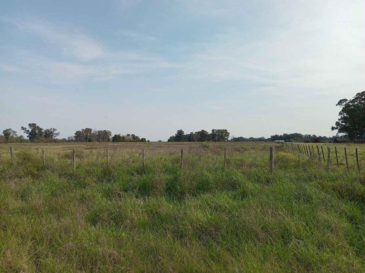 LOTE EN VENTA EN VERÓNICA. HECTÁREAS.