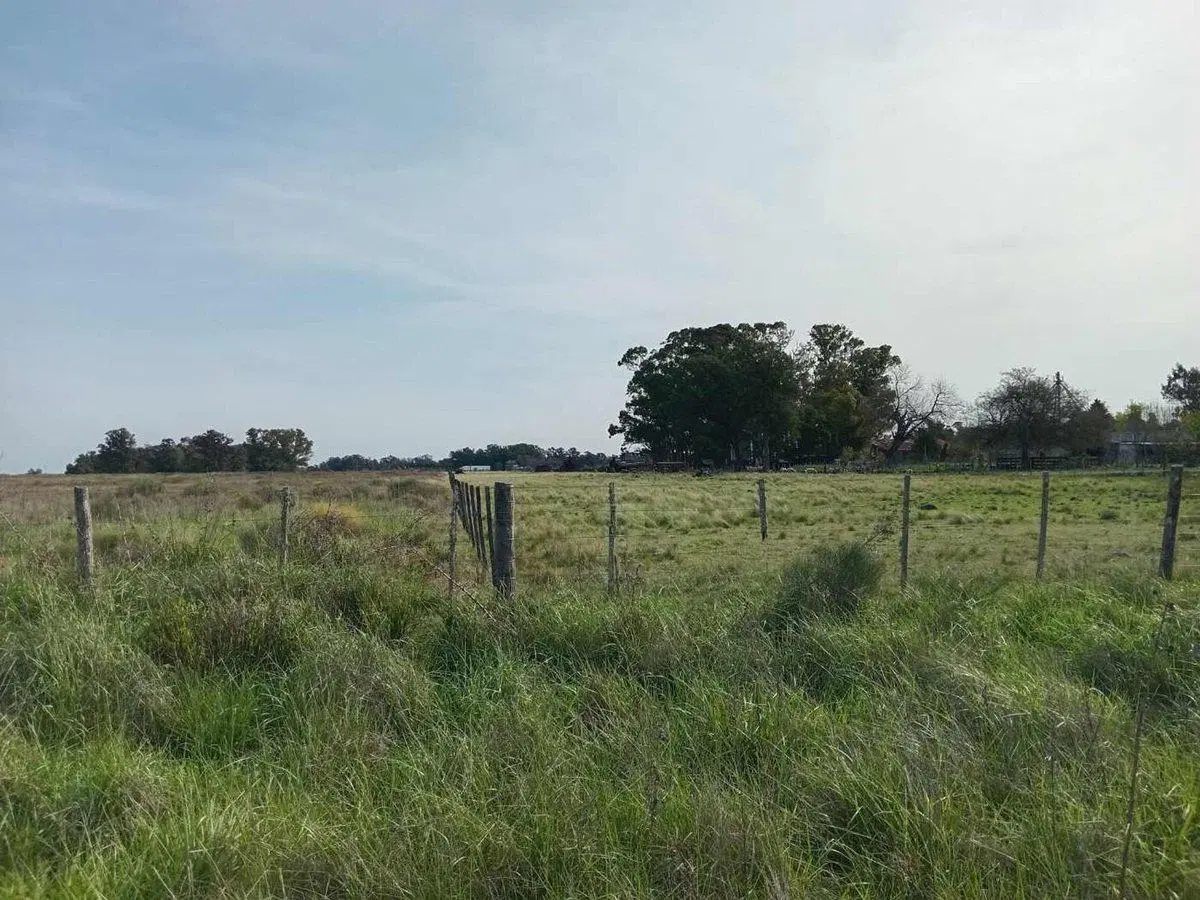 LOTE EN VENTA EN VERÓNICA. HECTÁREAS. 4