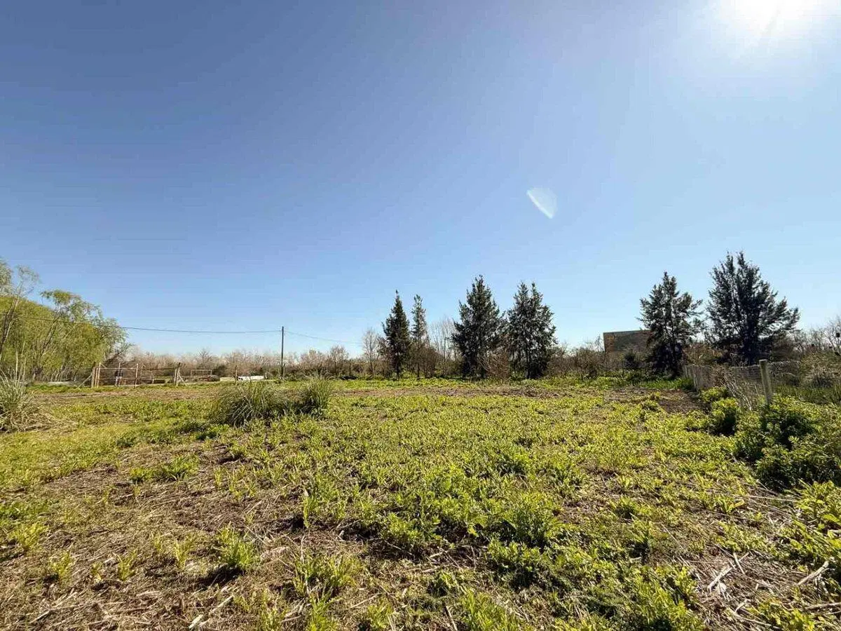 LOTE EN VENTA EN BERISSO 1.000 M2 3