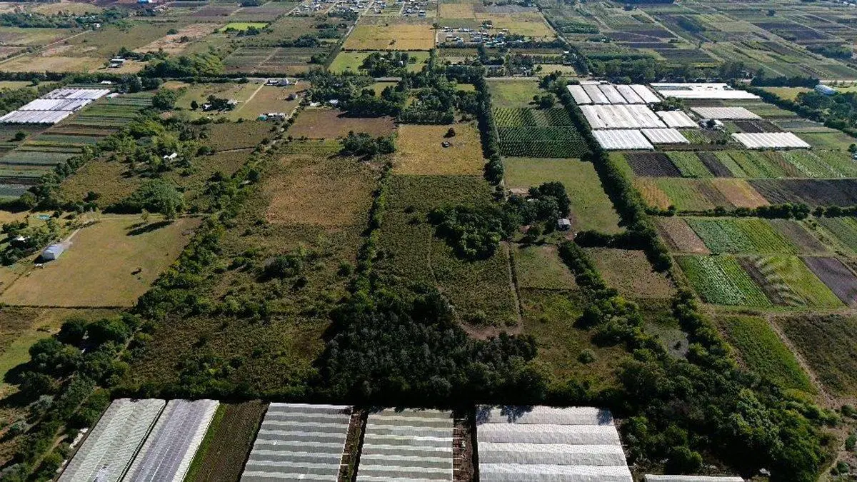 CAMPO DE 5 HA EN VENTA LA PLATA, ARANA 4
