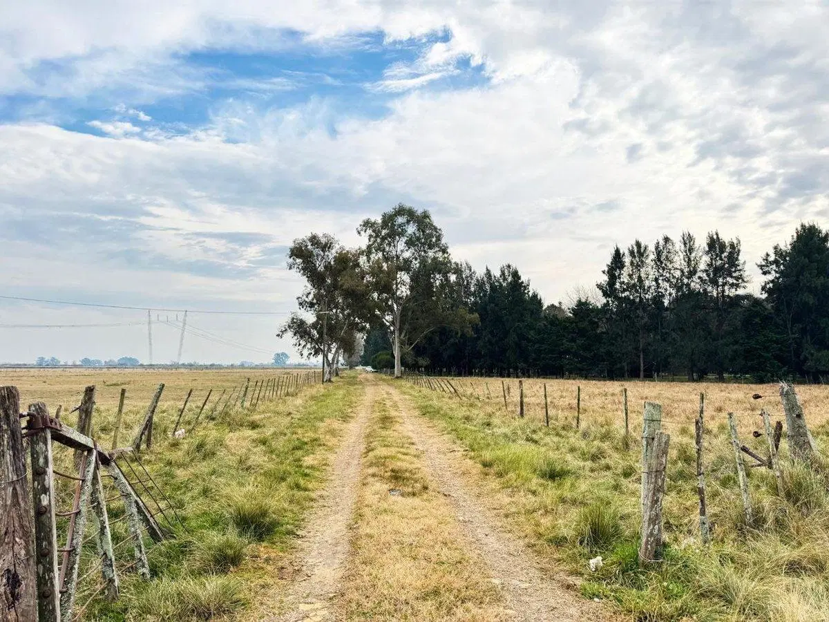 CAMPO EN VENTA LA PLATA ABASTO 2