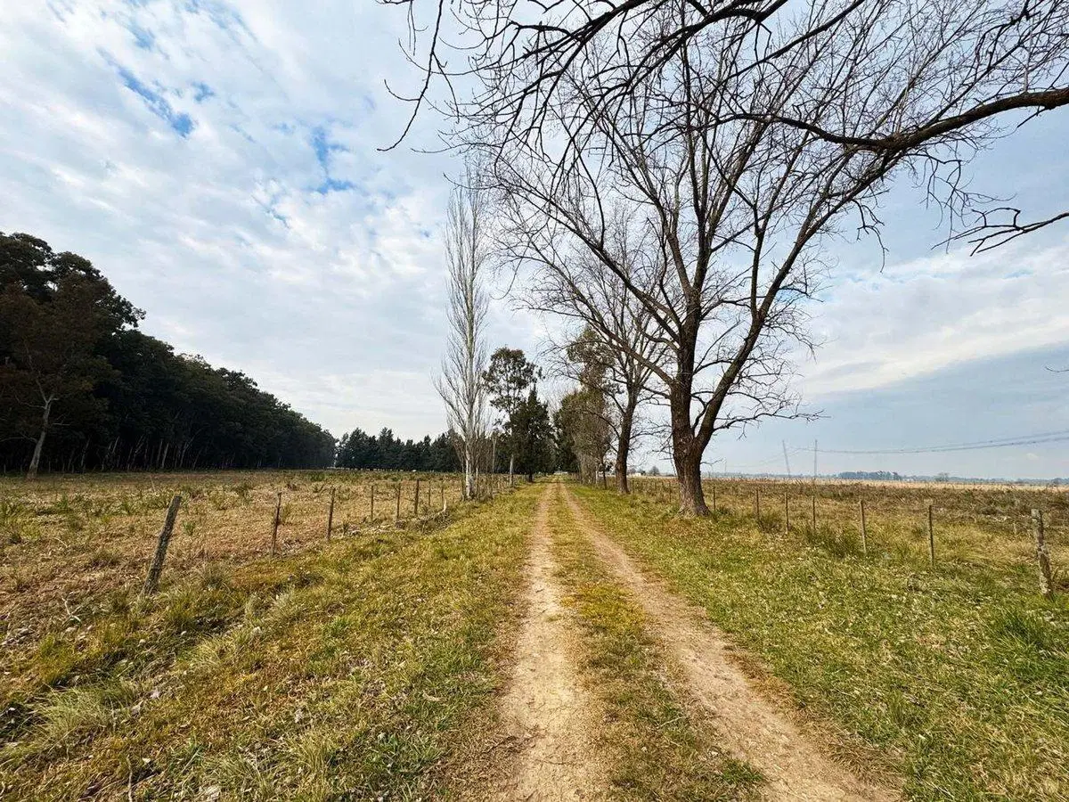 CAMPO EN VENTA LA PLATA ABASTO 5
