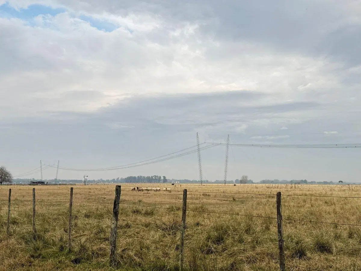 CAMPO EN VENTA LA PLATA ABASTO 4
