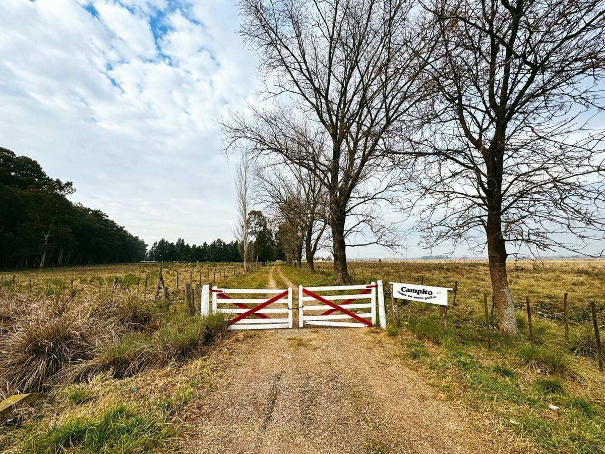 CAMPO EN VENTA LA PLATA ABASTO