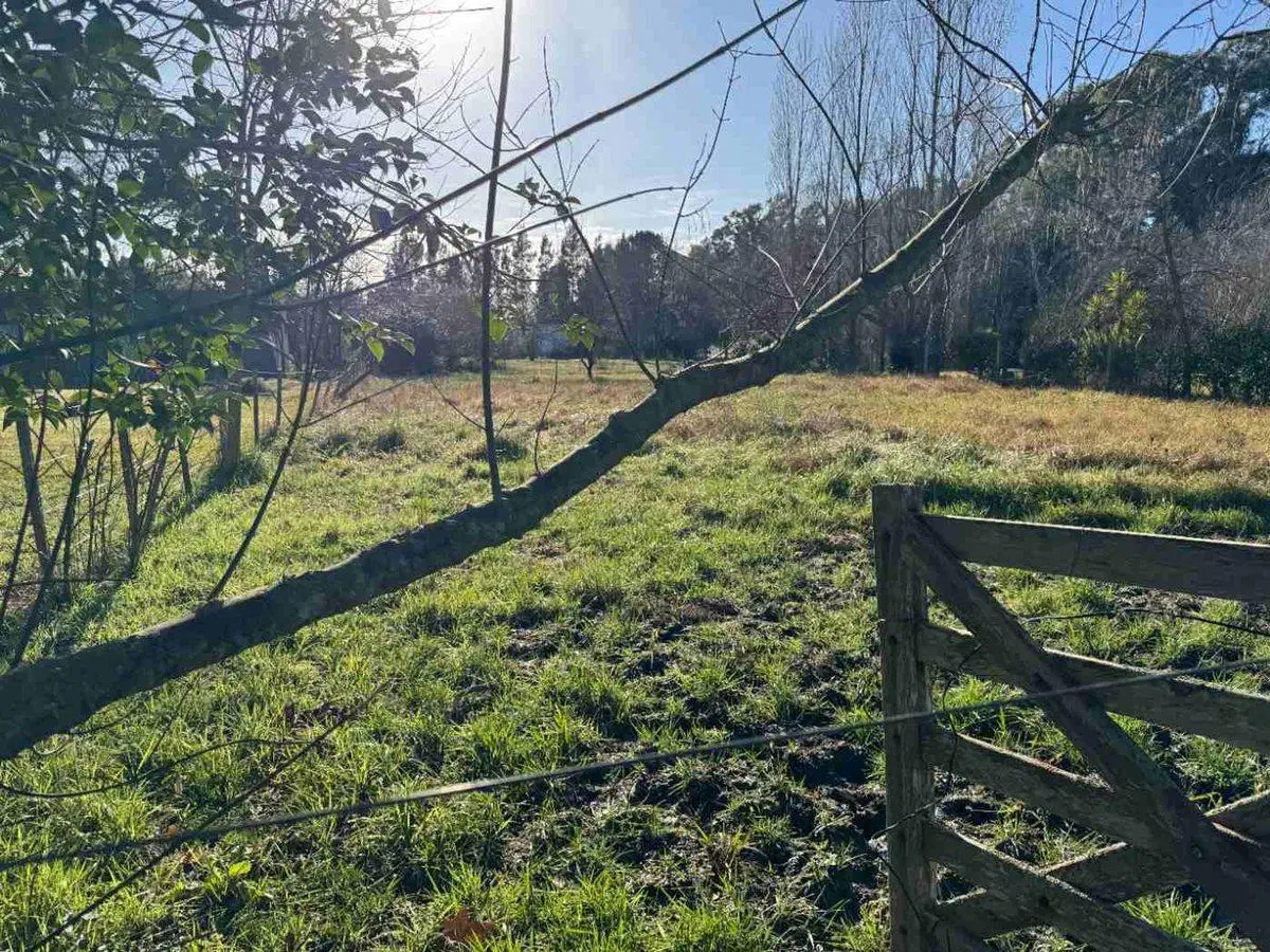 LOTE EN VENTA BARRIO EL RODEO 4