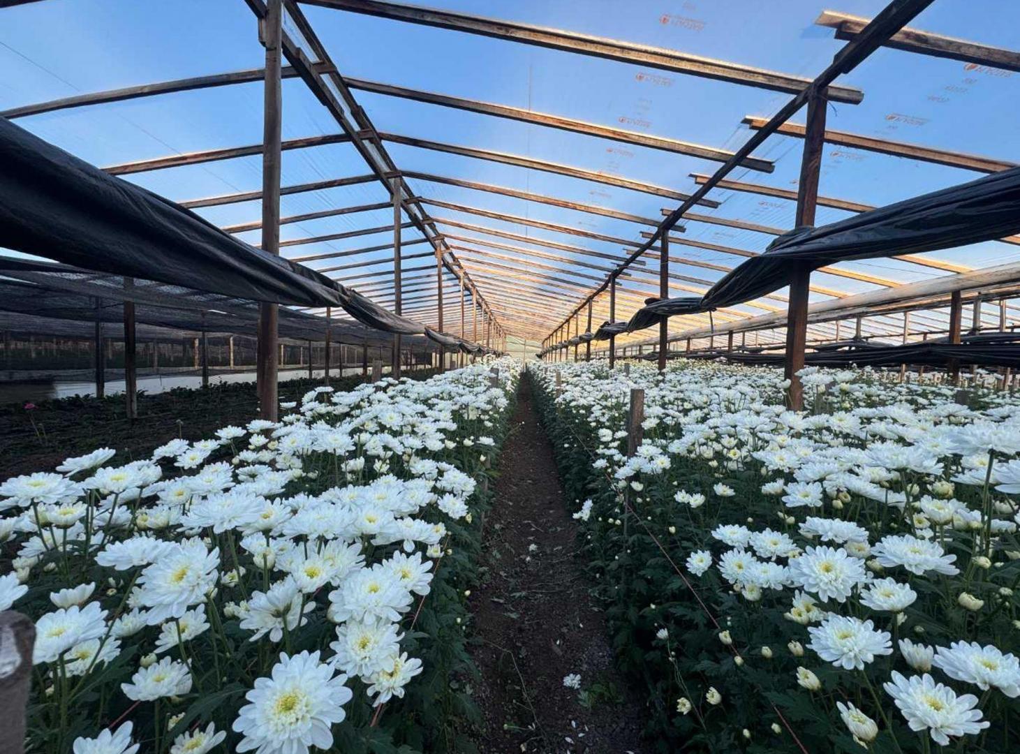 CAMPO EN VENTA EN ABASTO SOBRE RUTA 36
