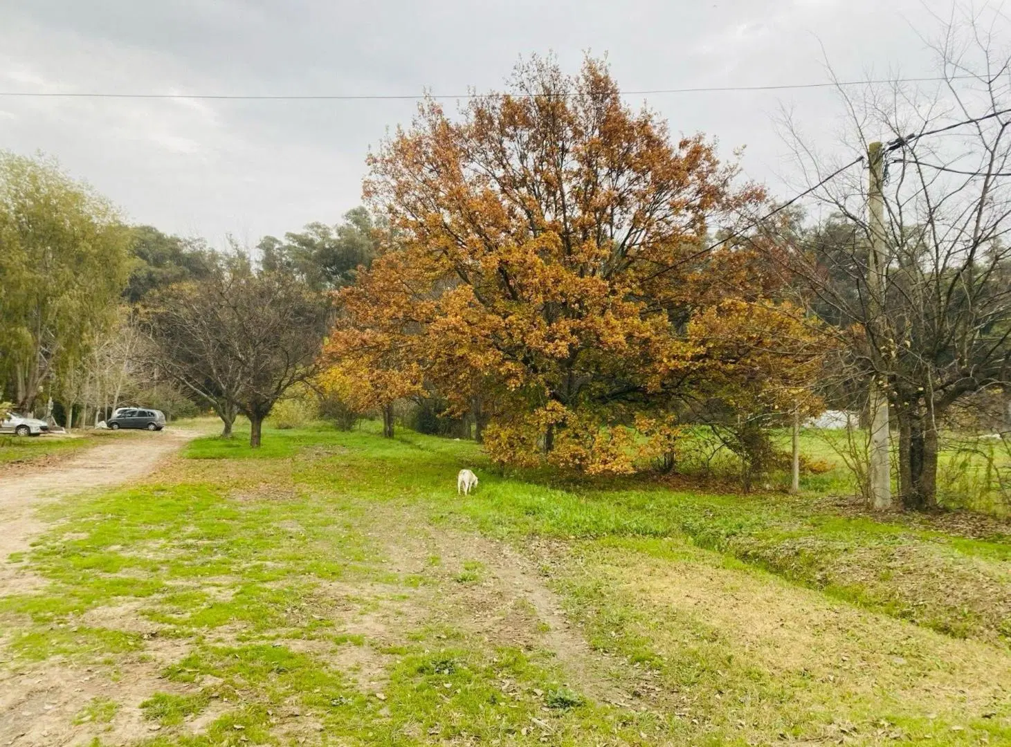 LOTE EN VENTA , BARRIO LAS BANDERITAS , CITY BELL. 2