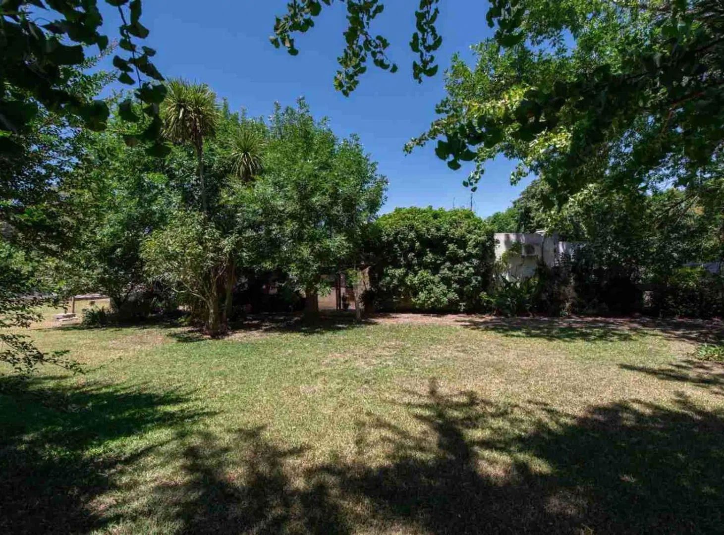 LOTE VENTA VILLA ELISA PARQUIZADO CON RIEGO 4