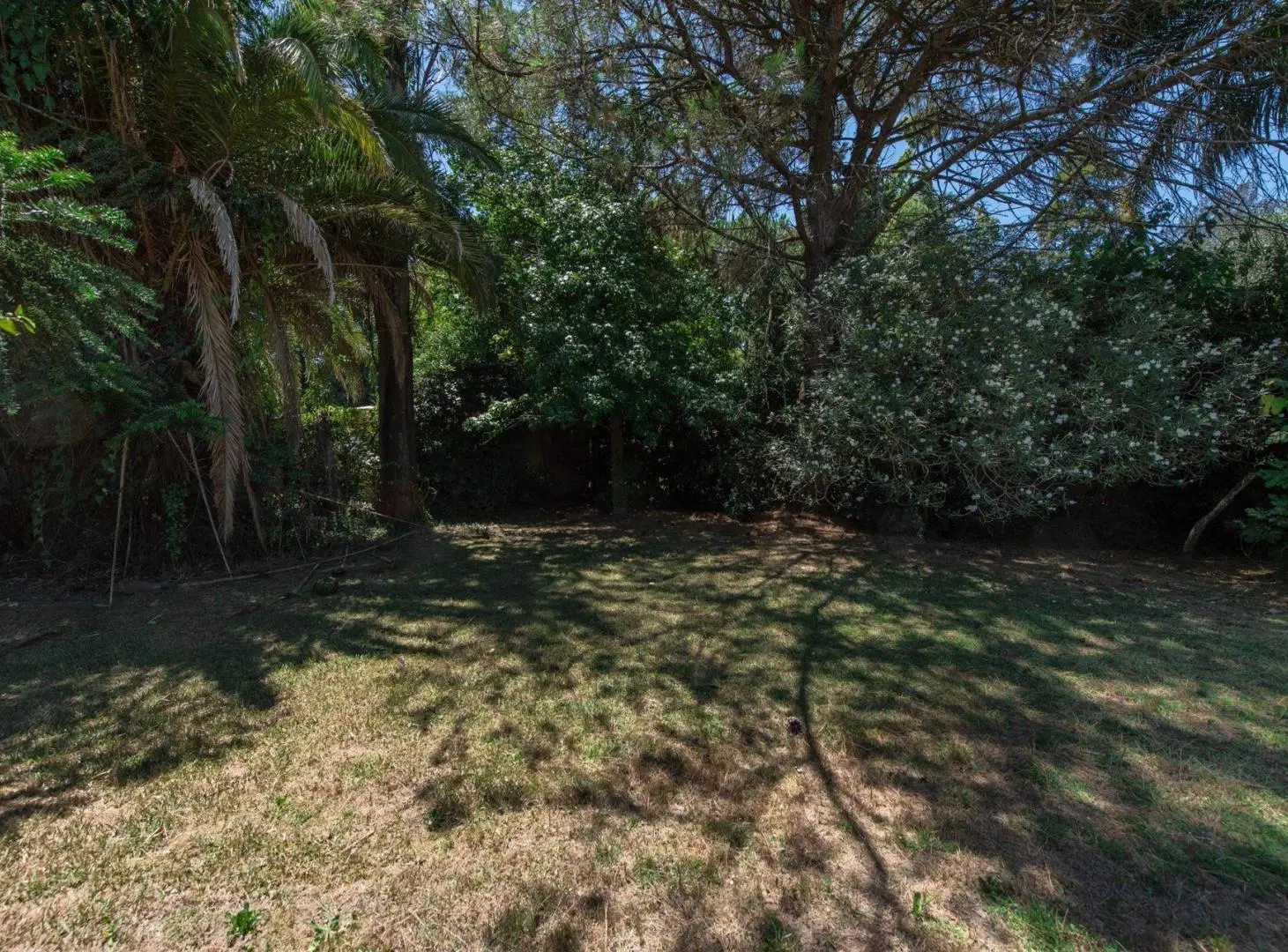 LOTE VENTA VILLA ELISA PARQUIZADO CON RIEGO 5