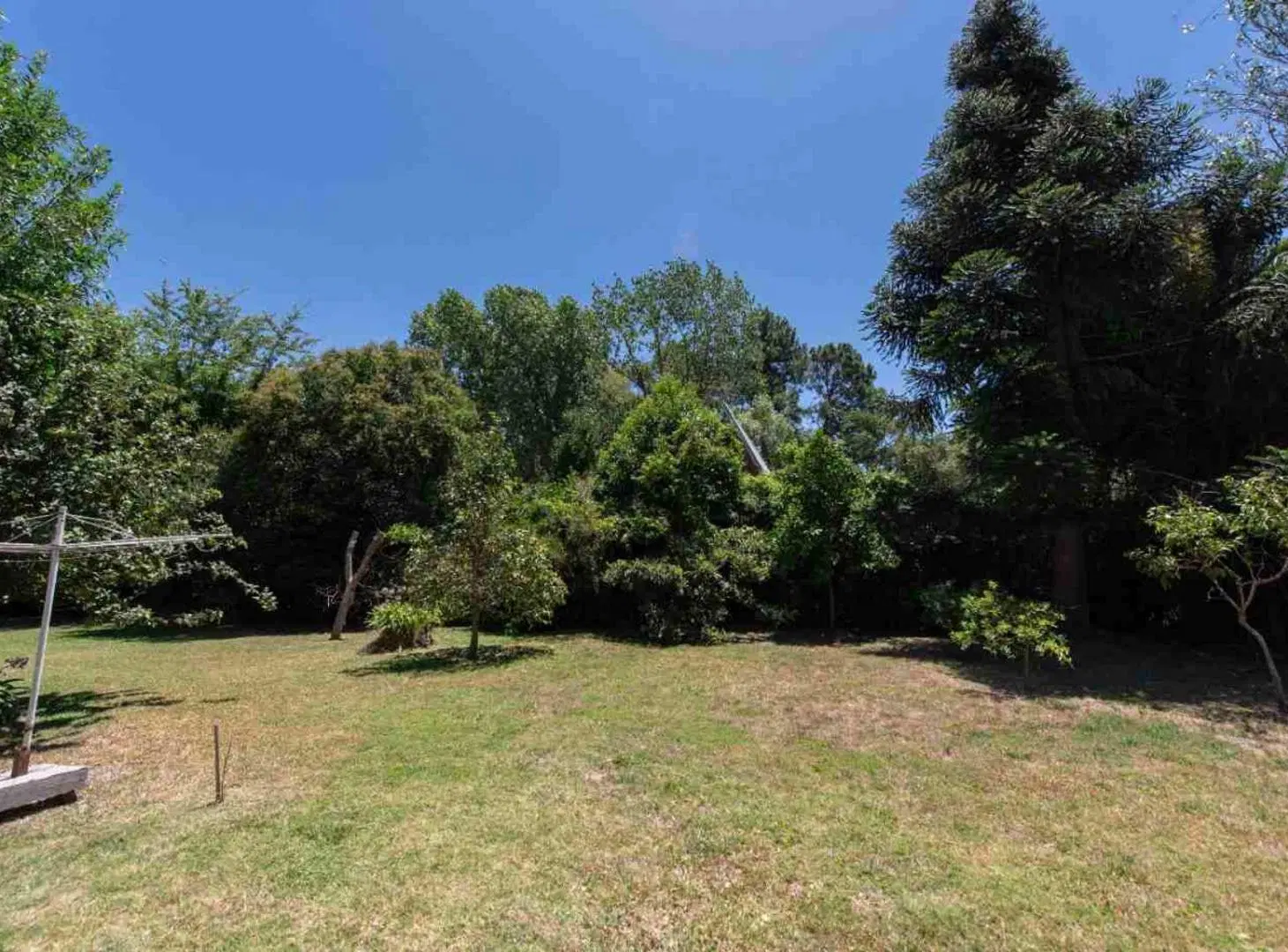 LOTE VENTA VILLA ELISA PARQUIZADO CON RIEGO 3