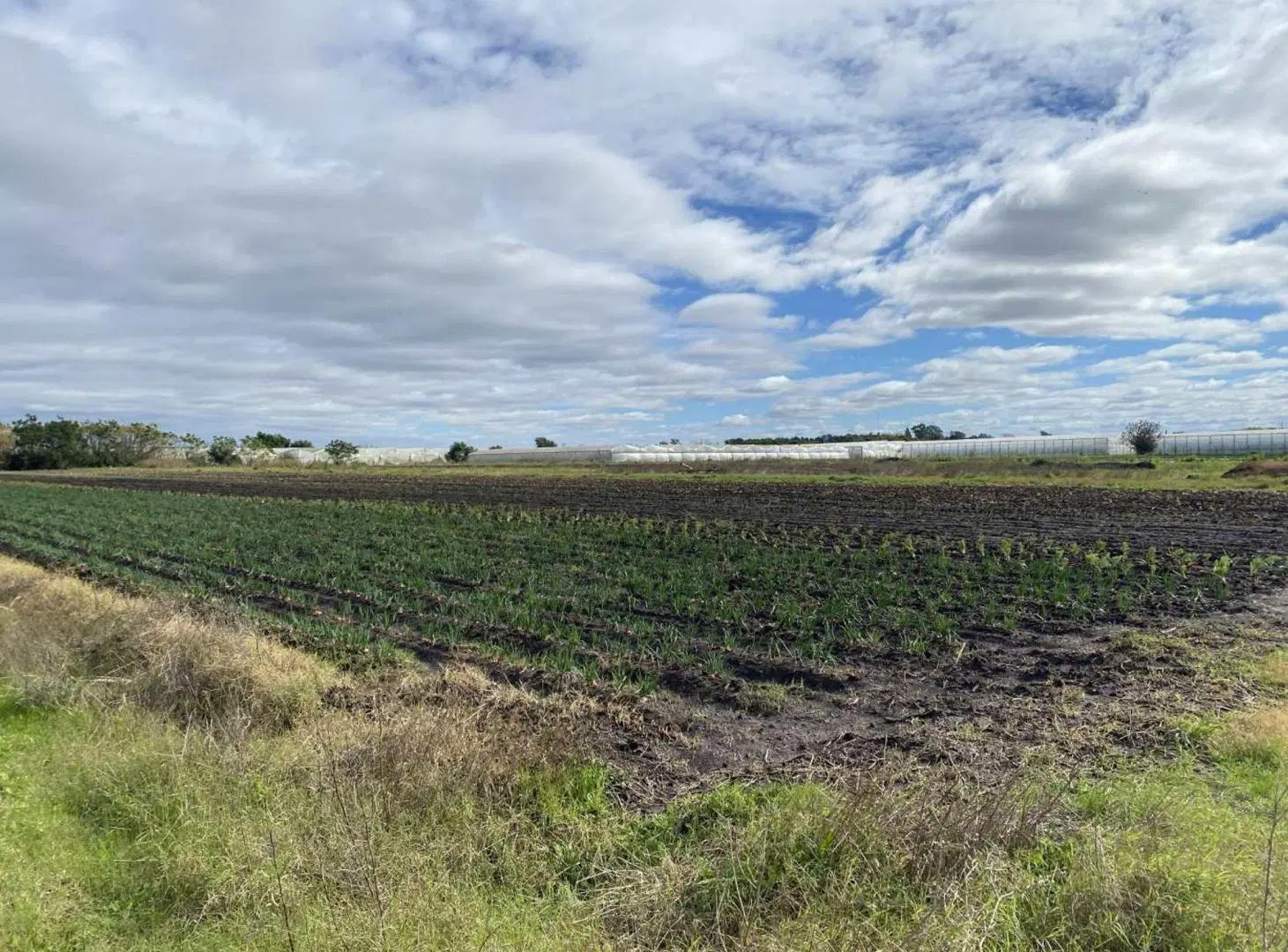 CAMPO EN VENTA LA PLATA, ARANA . 2