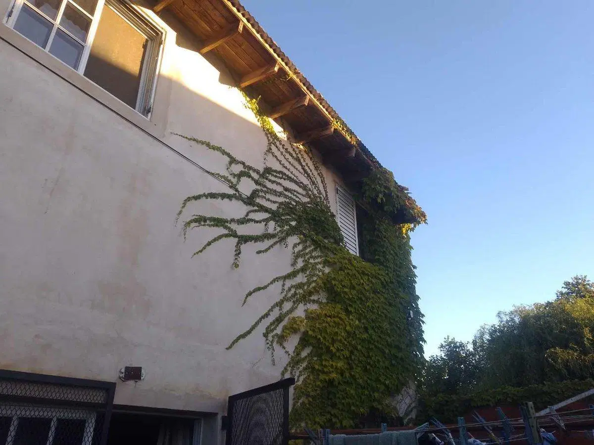 CASA 3 DORMITORIOS EN VENTA BERISSO 5