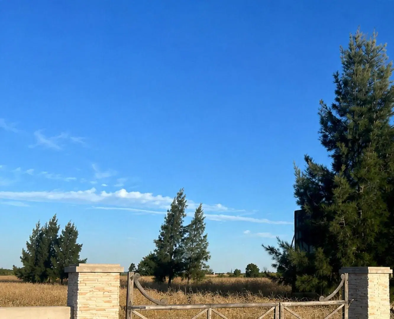 Lote  2 hectáreas  en Venta - Ruta 2 Brandsen 3
