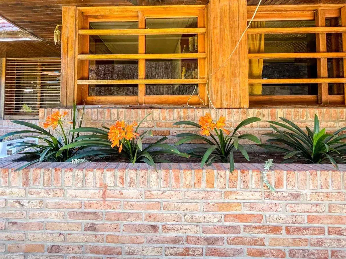 CASA 3 DORMITORIOS EN VENTA LA  PLATA CON PILETA 3