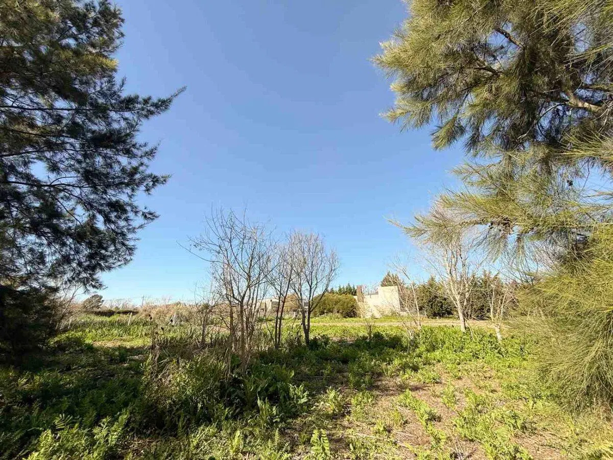 LOTE EN VENTA EN BERISSO 1.000 M2 6
