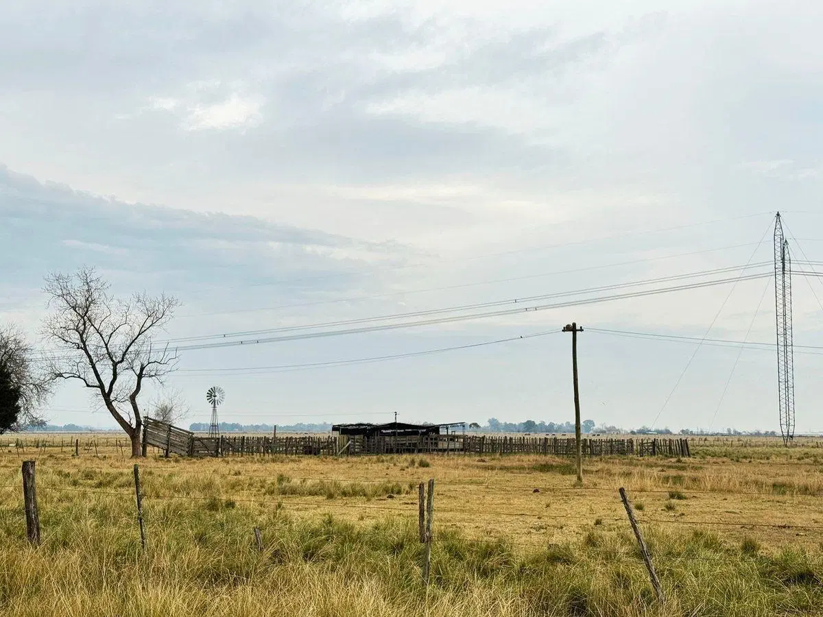CAMPO EN VENTA LA PLATA ABASTO 5