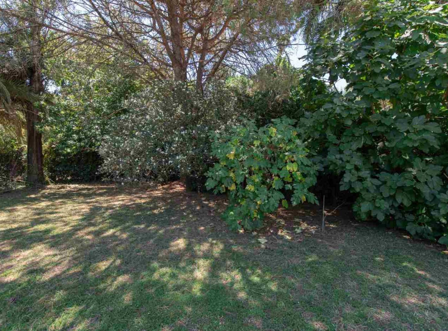Foto de LOTE VENTA VILLA ELISA PARQUIZADO CON RIEGO, imagen 2