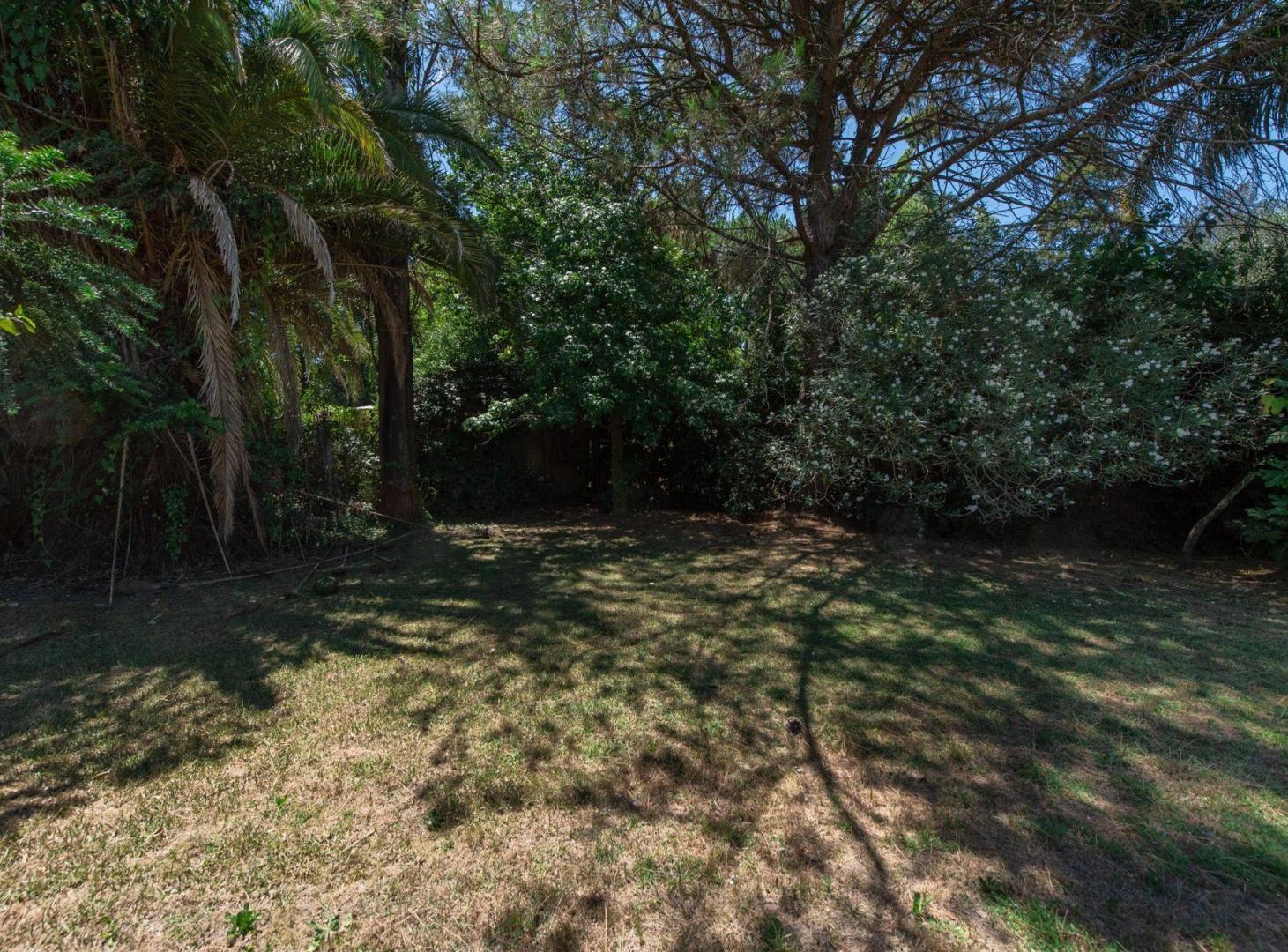 Foto de LOTE VENTA VILLA ELISA PARQUIZADO CON RIEGO, imagen 3