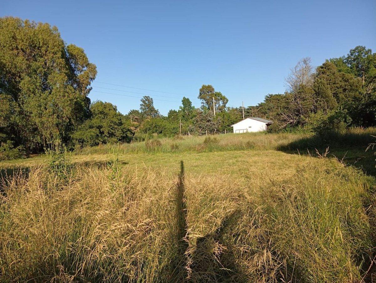 Foto de Lote en Venta, Sicardi, oportunidad, escriturado, imagen 4
