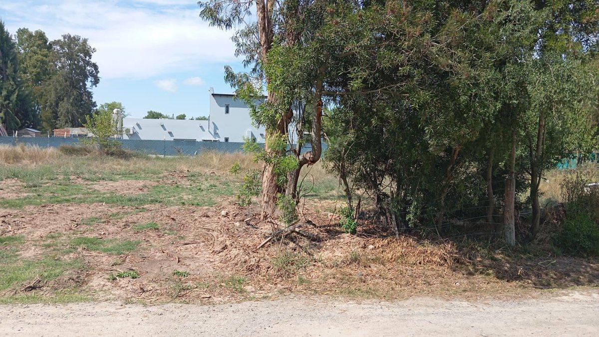 Foto de Lote en Venta, Sicardi, oportunidad, escriturado, imagen 1