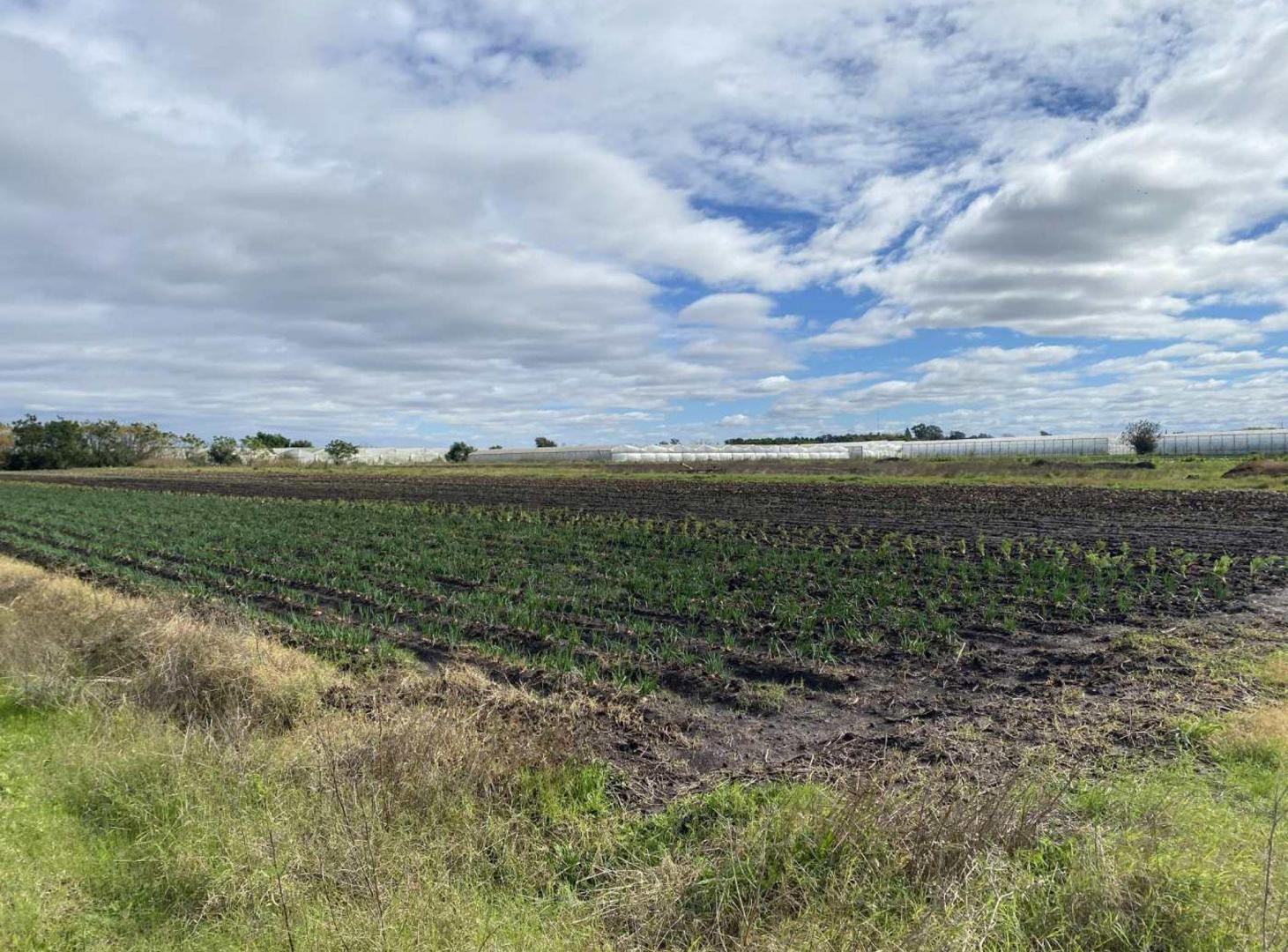 Foto de CAMPO EN VENTA LA PLATA, ARANA ., imagen 3