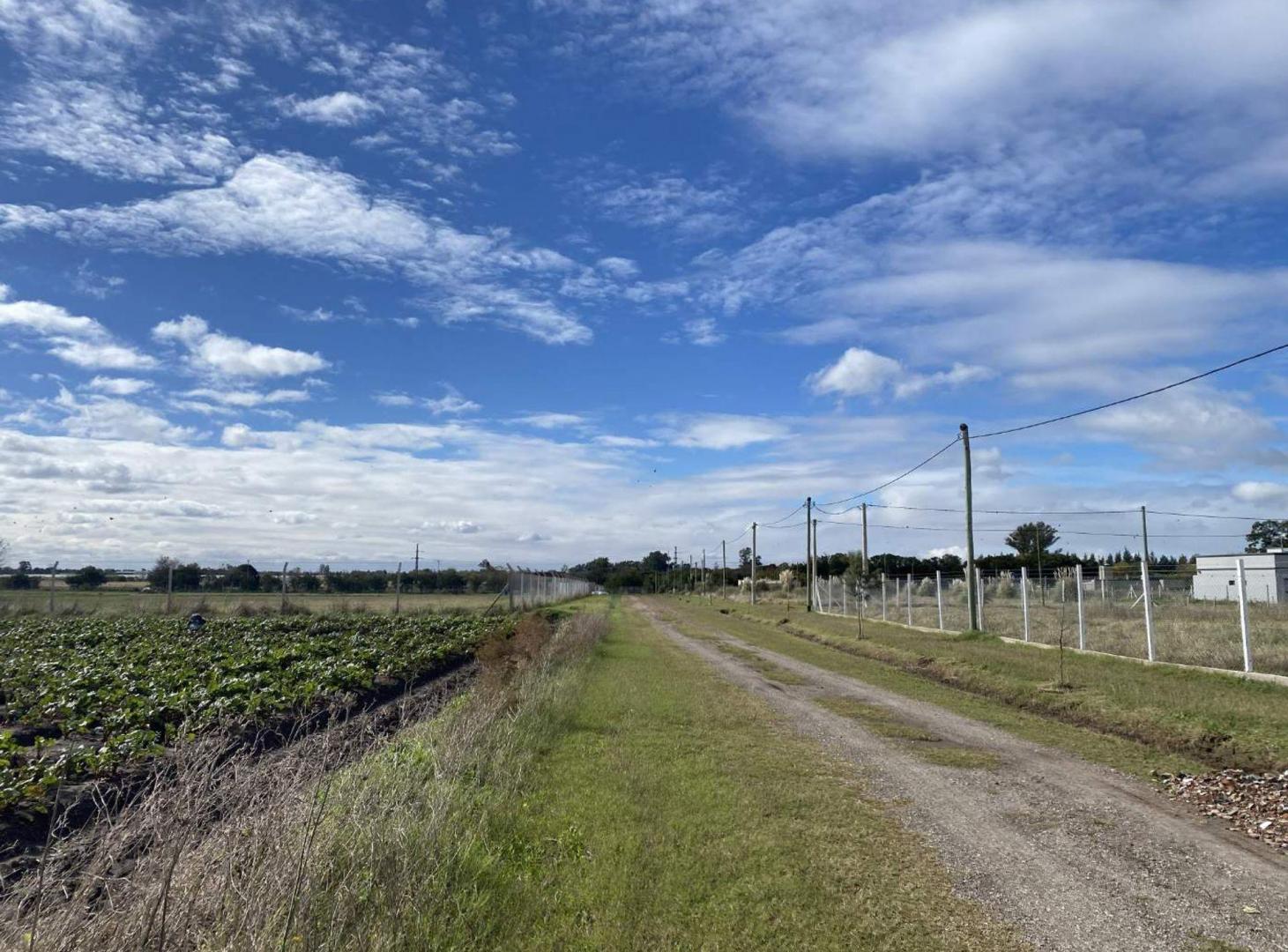 Foto de CAMPO EN VENTA LA PLATA, ARANA ., imagen 4