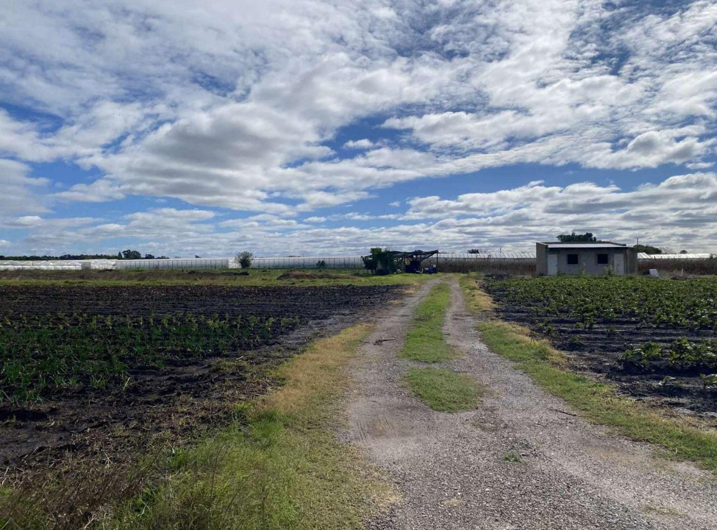 Foto de CAMPO EN VENTA LA PLATA, ARANA ., imagen 1