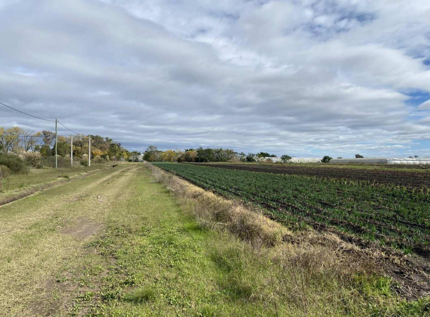 Foto de CAMPO EN VENTA LA PLATA, ARANA ., imagen 2