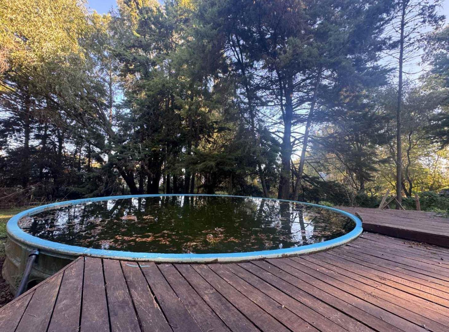 Foto de CAMPO EN VENTA EN ABASTO SOBRE RUTA 36, imagen 4