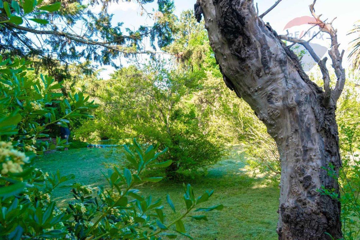 Foto de CASA QUINTA EN VENTA LA PLATA, EL RODEO CON PILETA, imagen 2