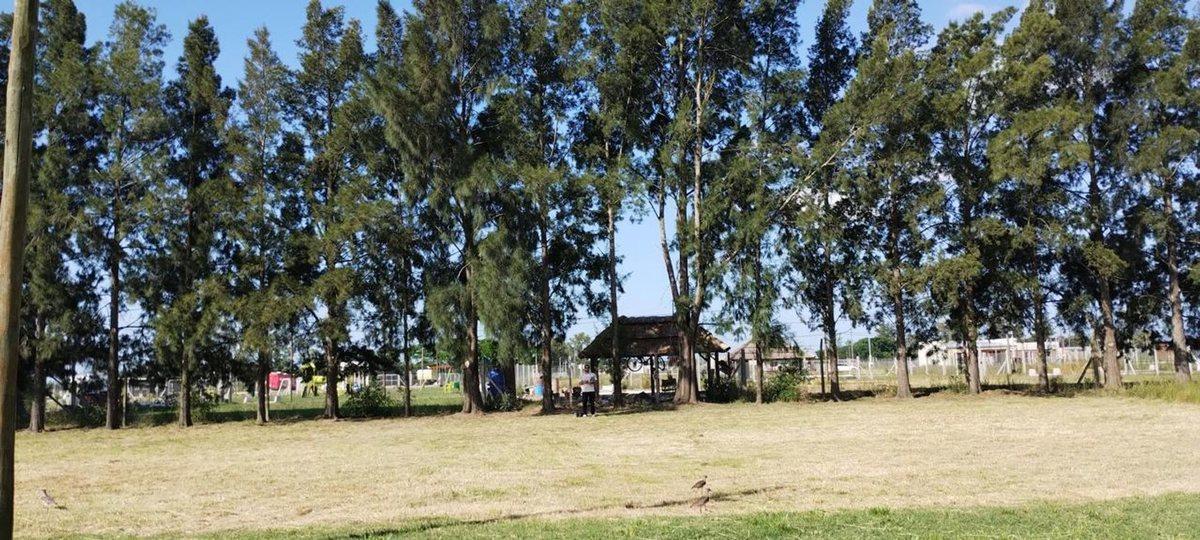 Foto de LOTE EN VENTA BARRIO SAN JOSE ETCHEVERRY, imagen 1