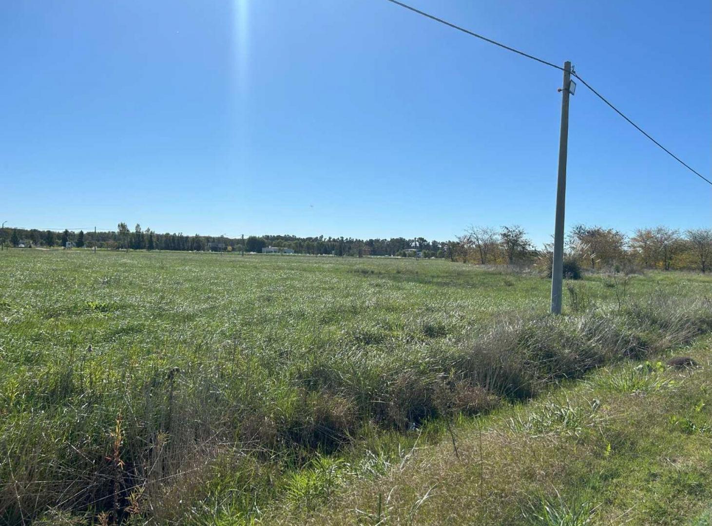 Foto de LOTE EN VENTA EN CAMPOS DE ROCA II BRANDSEN, imagen 3