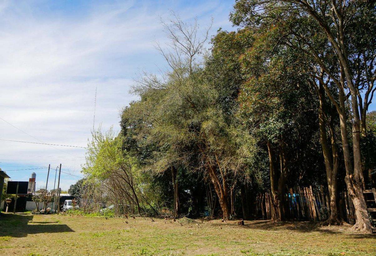 Foto de Terreno en Venta Barrio Albatros, La Plata, imagen 2