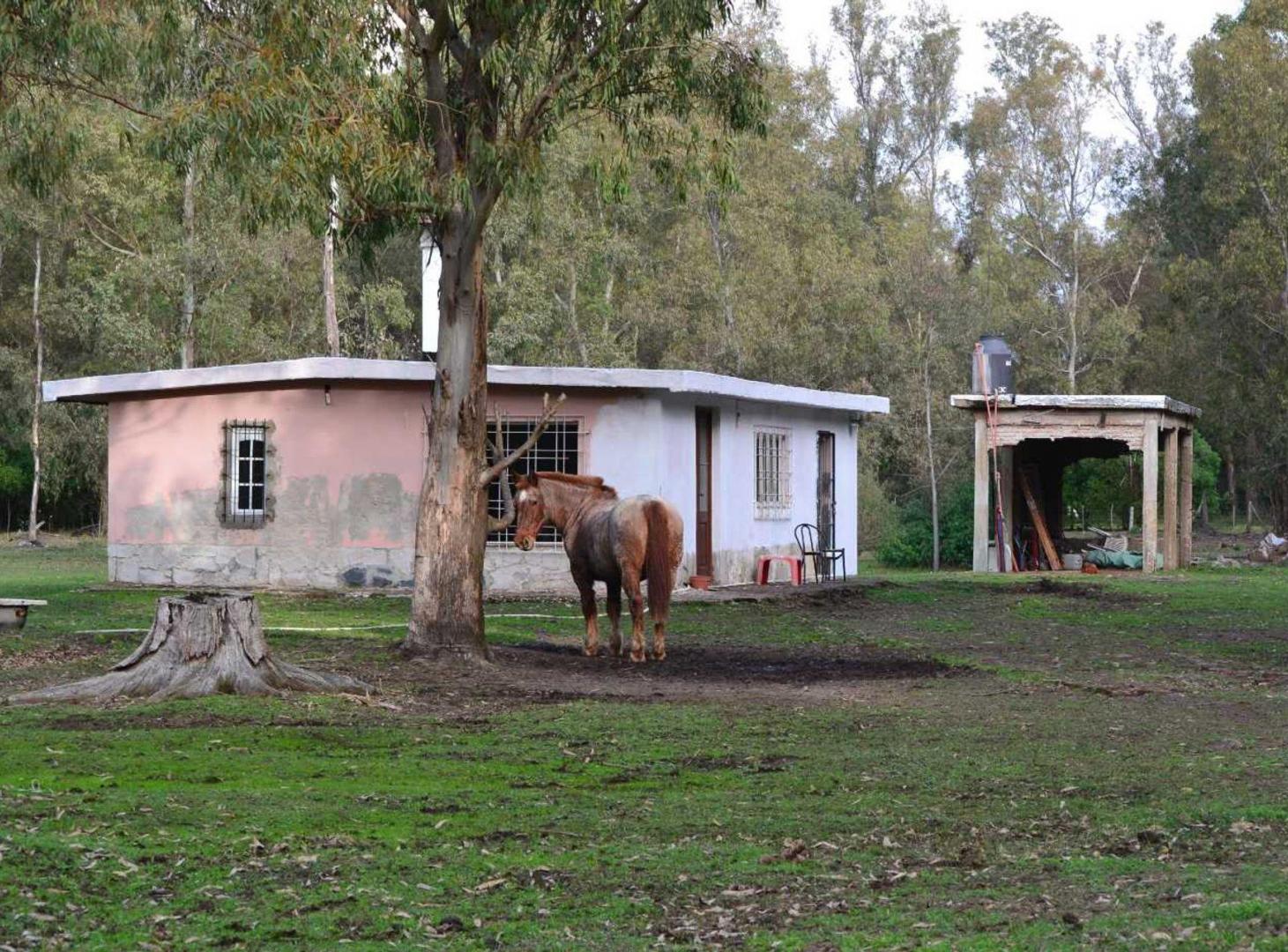 Foto de Lote en Chascomús Venta 1 Ha Casa a reciclar, imagen 1