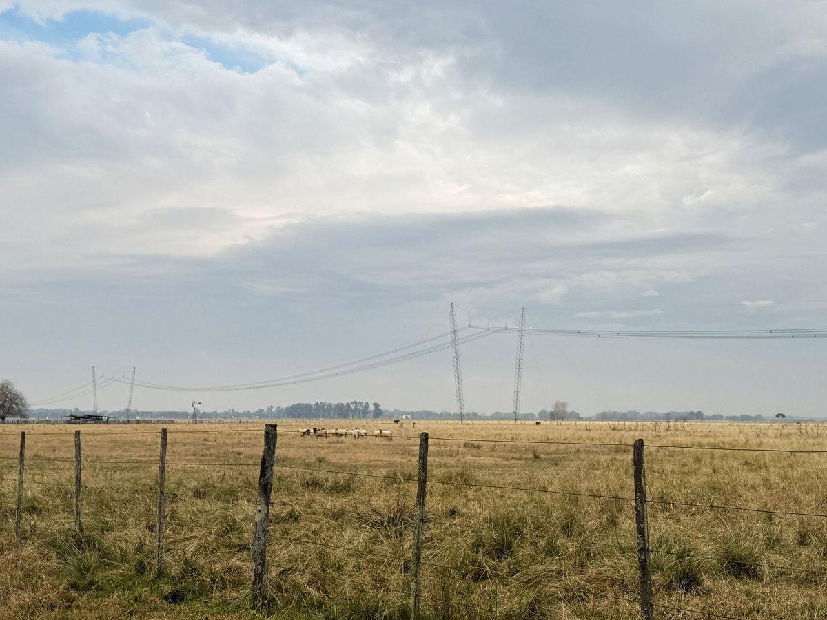 Foto de CAMPO EN VENTA LA PLATA ABASTO, imagen 4