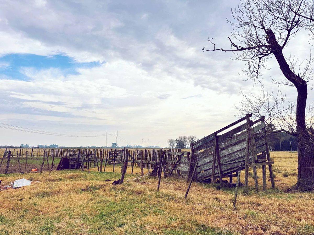 Foto de CAMPO EN VENTA LA PLATA ABASTO, imagen 2