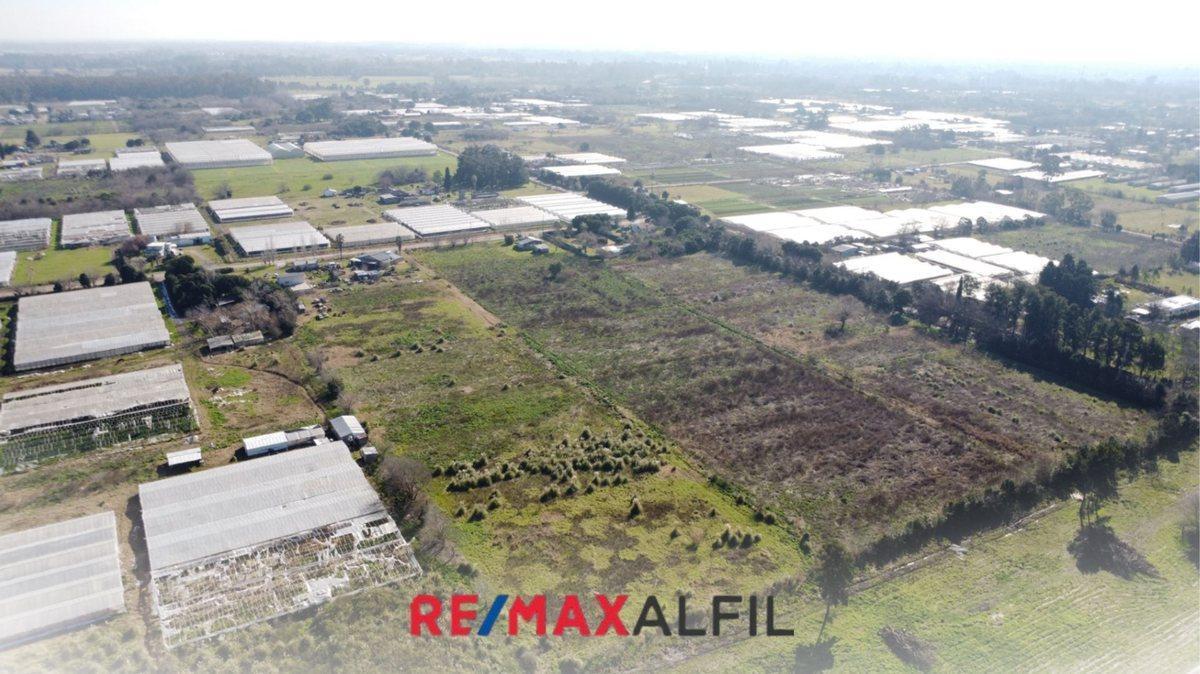 Foto de HECTAREAS EN VENTA CITY BELL, LAS BANDERITAS, imagen 3