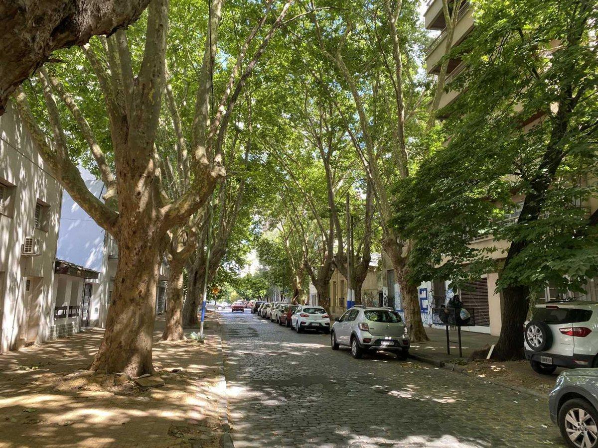 Foto de LOTE EN VENTA LA PLATA IDEAL DESARROLLO, imagen 2