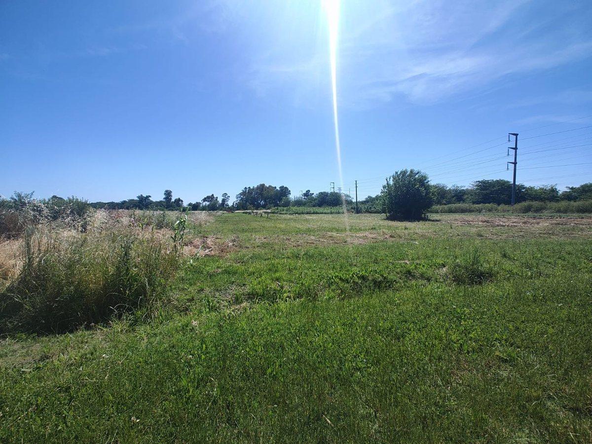 Foto de LOTE EN VENTA LA PLATA, imagen 5