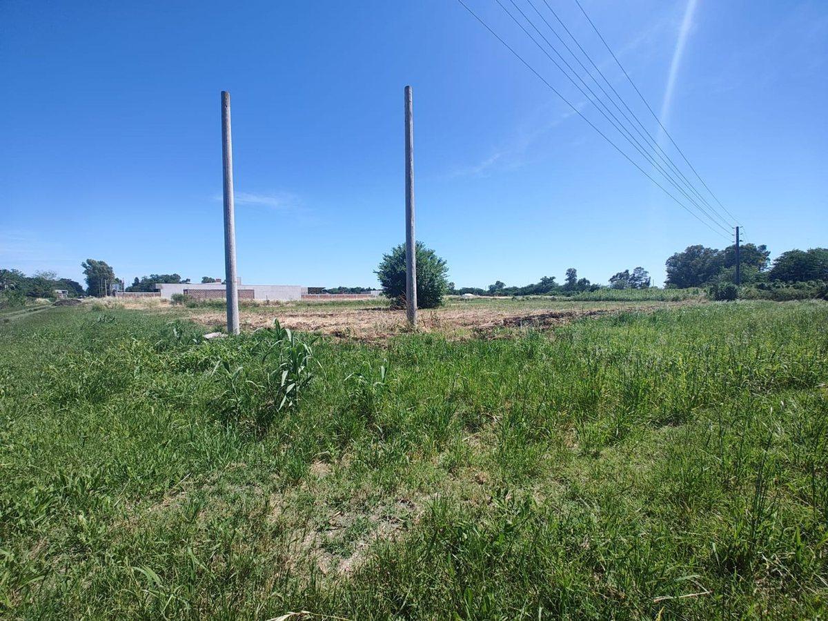 Foto de LOTE EN VENTA LA PLATA, imagen 3