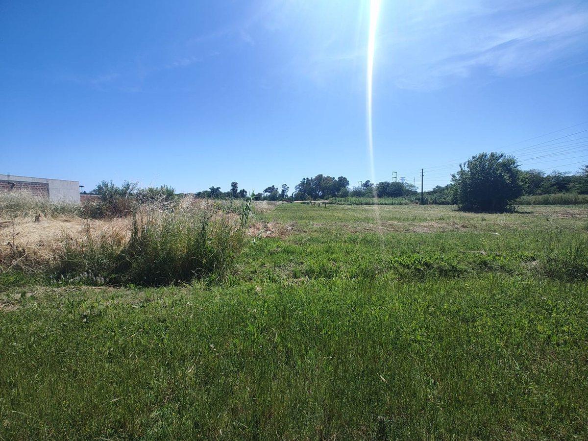 Foto de LOTE EN VENTA LA PLATA, imagen 1