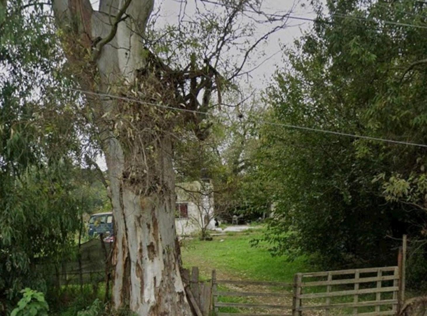 Foto de Lote en venta La Plata , ideal galpón, imagen 3