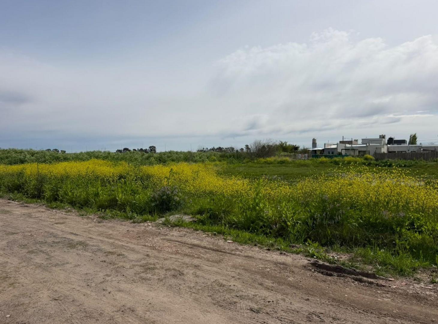 Foto de LOTE EN VENTA LA PLATA VILLA CASTELLS, imagen 2
