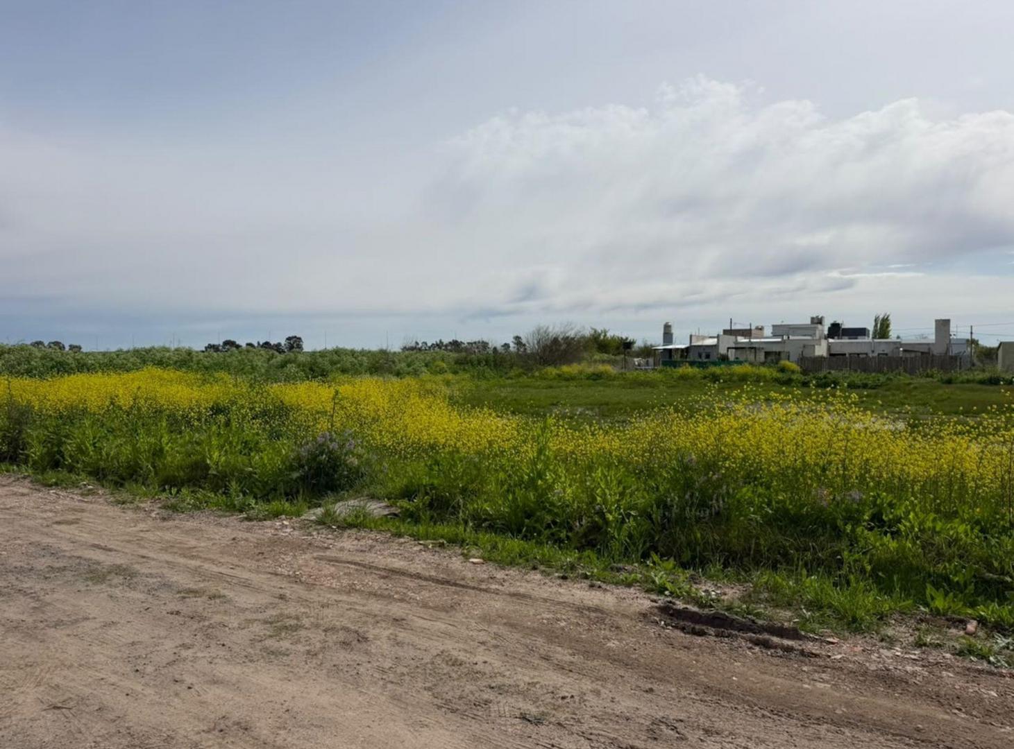 Foto de LOTE EN VENTA LA PLATA VILLA CASTELLS, imagen 3