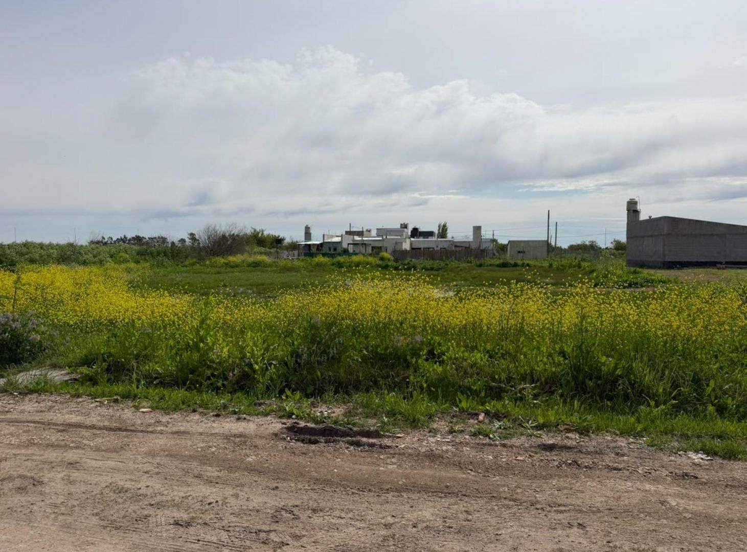 Foto de LOTE EN VENTA LA PLATA VILLA CASTELLS, imagen 4