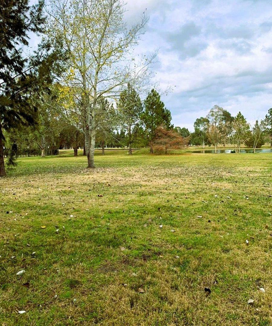 Foto de Lote en Venta Miralagos 2, imagen 4
