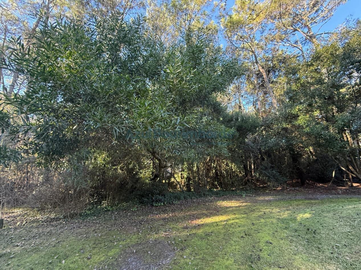 VENTA LOTE EN CARILO - ref 3025