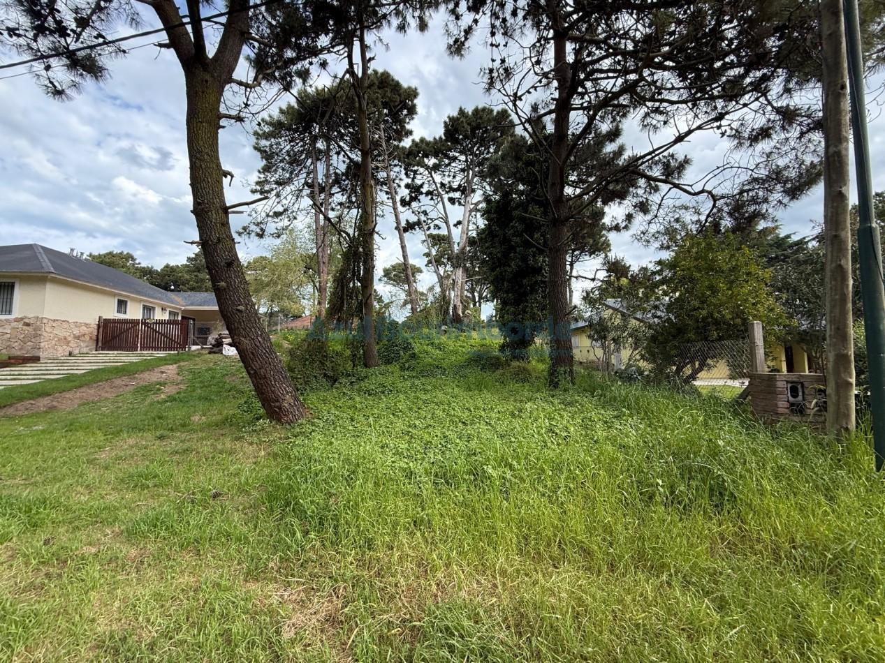 Foto de LOTE EN VENTA EN PINAMAR, imagen 1